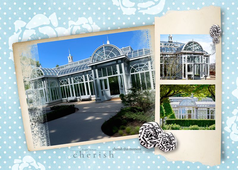 Victorian Greenhouse Ideas: From Bridal Showers To Anniversary Galas